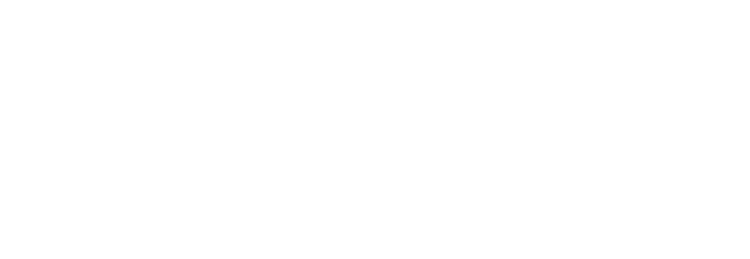 Fantasy Sex — Todo para el amor
